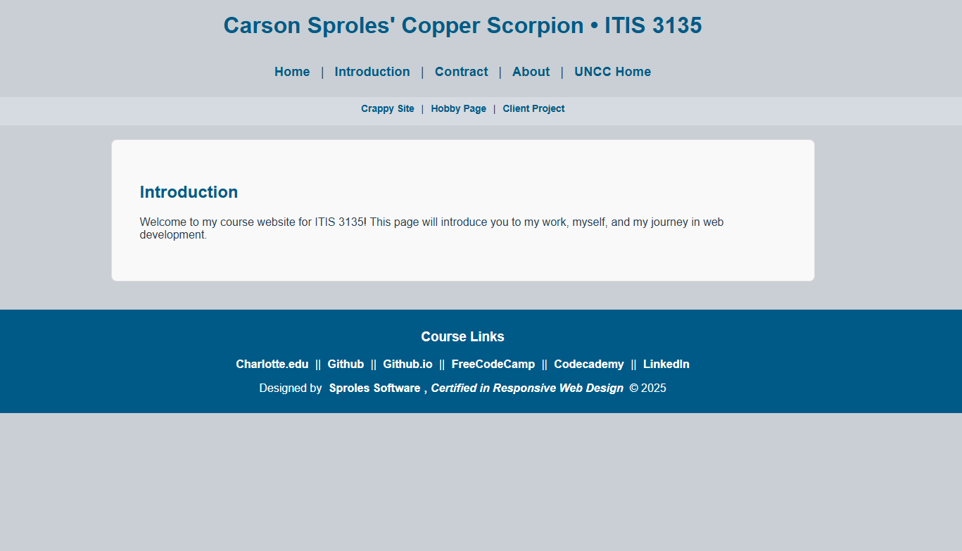 Screenshot of ITIS-3135 Site